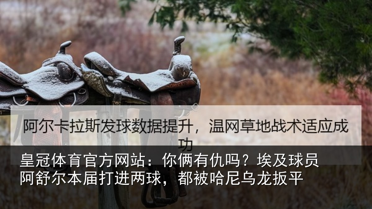 皇冠体育官方网站:你俩有仇吗?埃及球员阿舒尔本届打进两球,都被哈尼乌龙扳平
